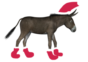 learn a new culture, the christmas donkey