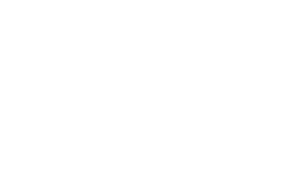 Case study di Campari Group con Voxy