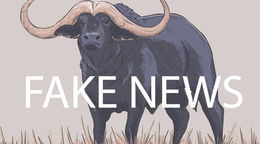 Fake news and buffalos