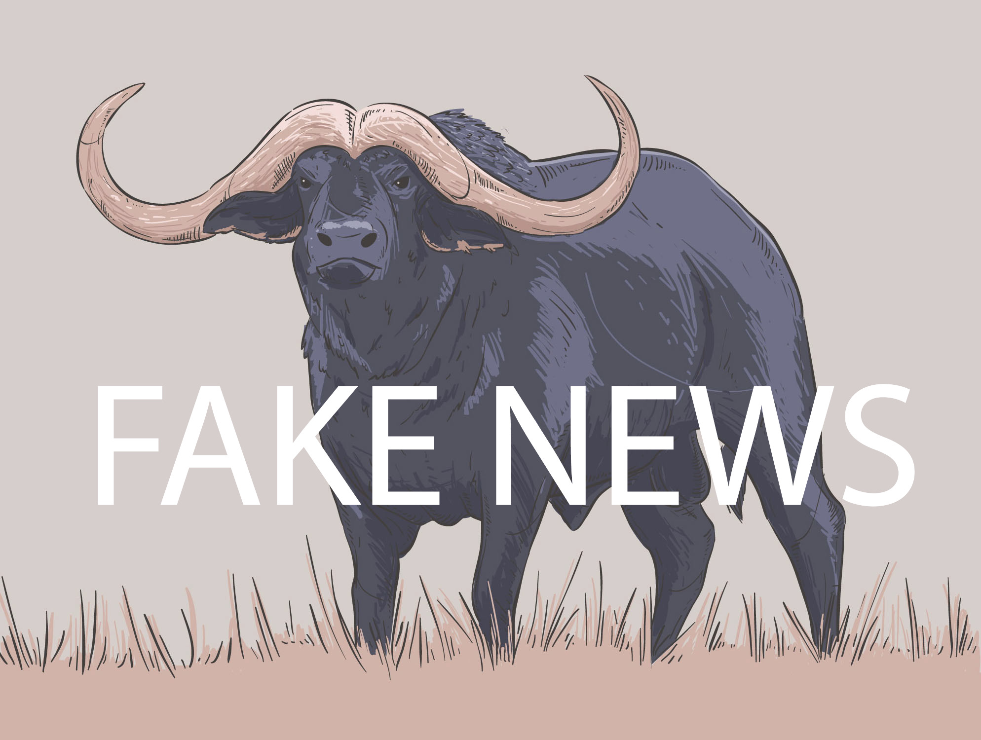 What is fake news?