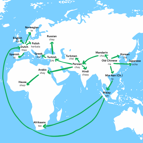 Map showing the global spread of the word for "tea" through land and sea routes, with different versions like "cha," "chai," and "tea" appearing in languages such as Mandarin, Hindi, Arabic, English, and Spanish. Arrows trace the linguistic journey from East Asia through Europe, Africa, and the Middle East.