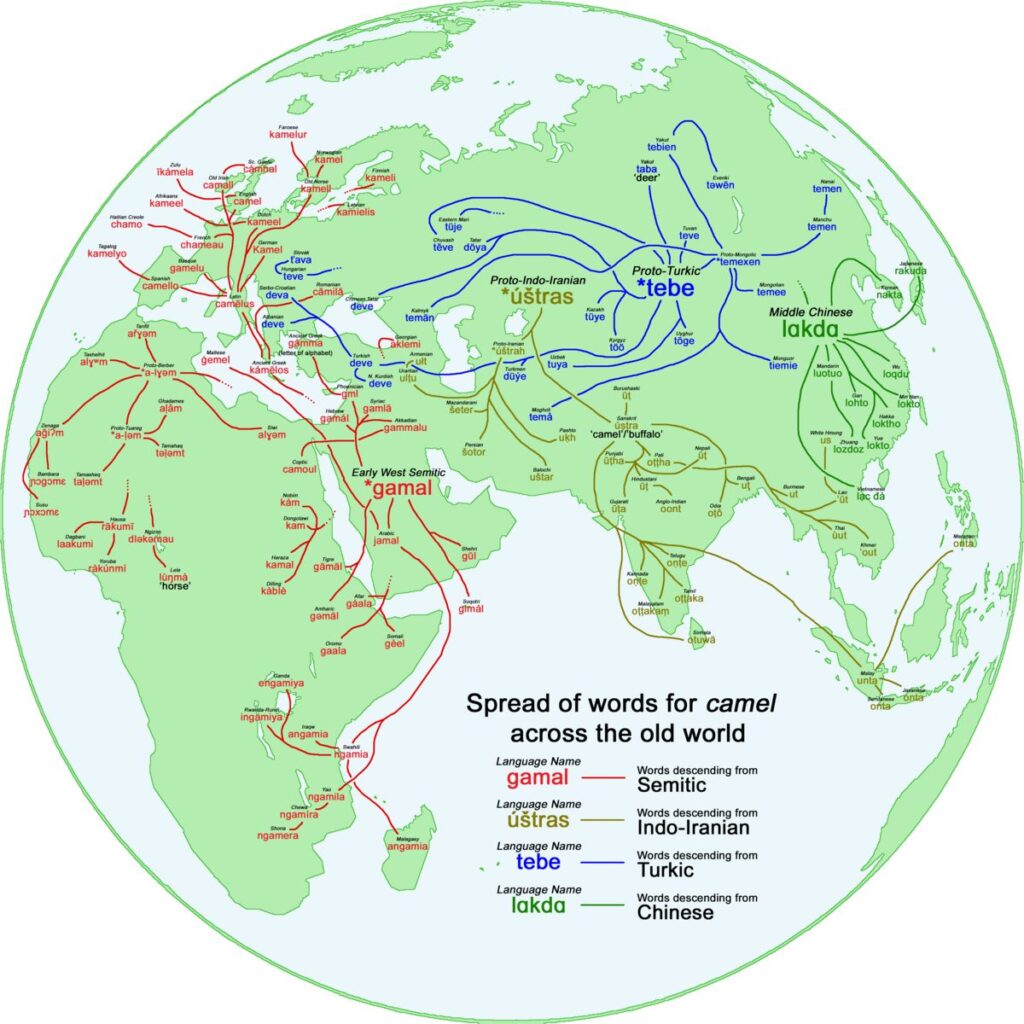 Linguistic map showing the spread of the word for “camel” across Africa, Europe and Asia, with different routes from Semitic, Indo-Iranian, Turkic and Chinese origins