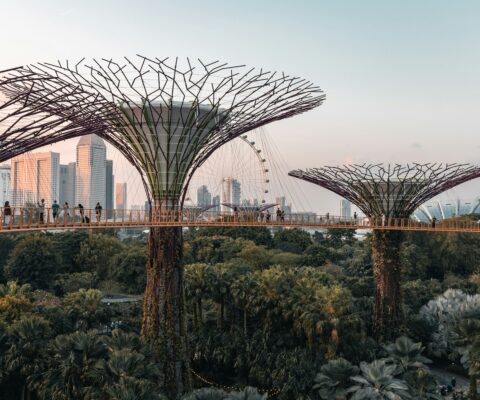Thinking Global? Here’s Why Southeast Asia Should Be Next