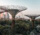 Thinking Global? Here’s Why Southeast Asia Should Be Next